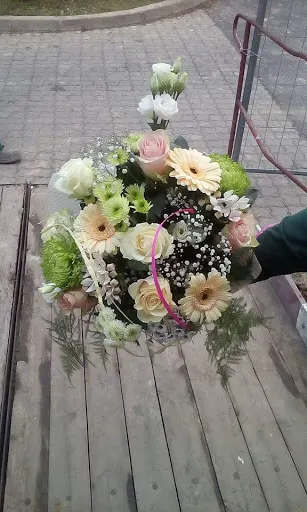 Kwiaciarnia "Peonia"